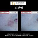 아르케의원 티스토리