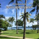 코타키나발루 반딧불투어 내돈내산 할인 후기