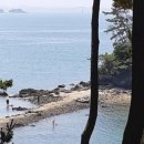 베이테라스 이미지