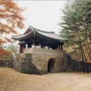 마음드리 Daum카페