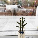 살롱드 멍 이미지