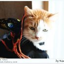 한글초급2반 이미지