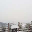 양덕1리(동리) 이미지