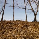 성미산성 이미지