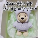 OK다온 | [금일다온]후드티 곰돌이 등장🧸 향기 좋은 차량 방향제