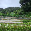 애지농장 이미지