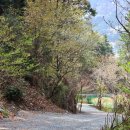 우리박가네돼지국밥 이미지