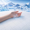 부동산 권리분석과 전세사기 예방법 | 서울 깡통전세 예방하는 빌라 시세 조회 활용법과 실사용 후기: 오늘 꼭 확인해야 할 전세사기 예방 가이드