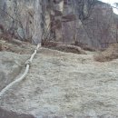 동산웰빙