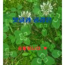 봉하마을 공영주차장　 | 봉하마을 노무현 대통령 생가 방문 후기