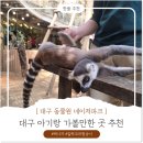 네이처온 | 대구 아기랑 가볼만한 곳 네이처파크 백사자 보고 온 후기