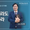 여호수아 17:14~18 비록 삼림이라도 네가 개척하라 이미지