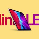 (주)애플 이미지