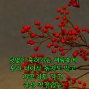 참좋은인연