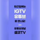 (주)채널포유