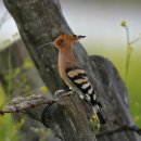 <형태의 속삭임> 이미지