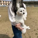 루이야 놀고 자고 GO 이미지