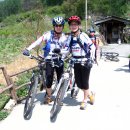 숲속의 둥지 이미지