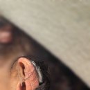 성북푸른보청기 이미지