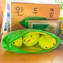 비치민박 | 잘츠부르크 한인민박 숙소 완두콩민박 후기 오스트리아여행 추천