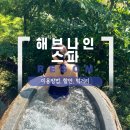 해브온 | 포레스트리솜 해브나인 스파 할인 정보 및 이용 시간대 추천 스톤스파 주말 웨이팅 후기