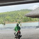 뉴월드약국 이미지