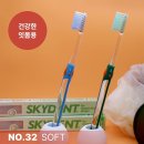 스카이덴트 이미지