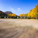 동상초등학교 이미지