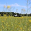 오늘달려 이미지