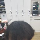 헤어벅스