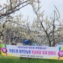 새각단 이미지