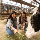 원대축산 이미지