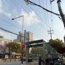 선미장식 - 부천시 원미구 옥산로 156 | 서울 점집 내돈내산 중랑구 선미암 다녀온 후기