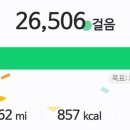 경주로여행