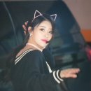 분홍고양이 이미지