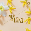 서초대로 57 이미지