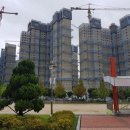 서현초교 앞 이미지