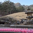 법흥사석분 | 병오년 정월 적멸보궁 순례, 영월 사자산 법흥사~정선 태백산 정암사 수마노탑