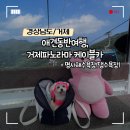 주식회사 리플랜자동차 | [경상남도/거제] 애견동반여행, 거제파노라마 케이블카 + 명사해수욕장(댕수욕장)