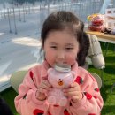 윤스팜 제4농장 | 밀양 아이랑 딸기체험 키즈카페딸기체험 내돈내산 아이베리팜