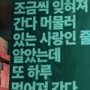 계화 - 광진구 | 계화