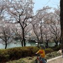 석촌호수로 네이버블로그