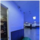 용인대수석태권도 이미지