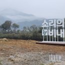 홍삼카페 이미지