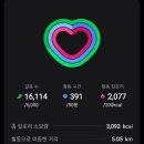 하우스 키핑 이미지