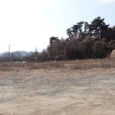 성주부동산공인중개사사무소 이미지