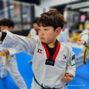 품 태권도 이미지