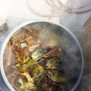 손오공농장 이미지