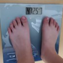 교원더오름 클린톡48 체중감량 실제후기 다이어트 하기 전 몸 비우기