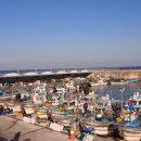 21호재진이네 이미지